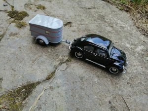 229751760_IM_2350(4).thumb.jpg.752bb0ffdf40c58d371d6e8312b6fe2a.jpg