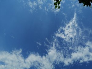 IMG_20210620_132206.thumb.jpg.3f111f490a669a0edb1d8a5d9ba91266.jpg