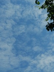 IMG_20210620_132543.thumb.jpg.c9c4b38d04c59d864a4a8657c51eef1e.jpg