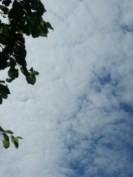 IMG_20210620_132601.thumb.jpg.32f1ae1c1793b28de78902de8815abfd.jpg