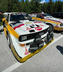 IMG_7353.thumb.jpg.66bb0fb22bf362ccfbf367614fa5f3da.jpg