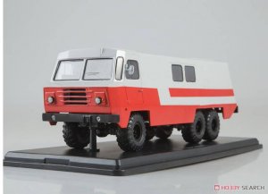 10808198a.jpg