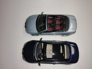 1225435343_IM330(7).thumb.jpg.541a4cd9bcdc766beef2869972058c89.jpg