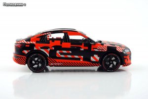 521486846_DSC09661.thumb.jpg.bf369e35df8de8b66c12017d93f129be.jpg