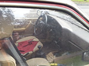 20210912_150626.thumb.jpg.378de8d7bd43029300fcca26ebd6b3d3.jpg