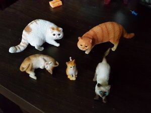 20210926_173708.thumb.jpg.c00b0c718add143e4e1c5fc8b259e863.jpg