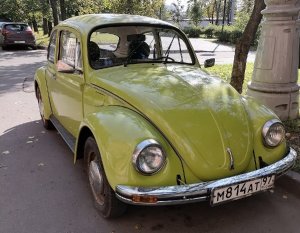 Жук 1.jpg