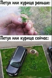 IMG_20210906_015623.thumb.jpg.79f82de4ee131891515959828df21db0.jpg
