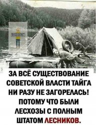 qpUqAcS0nIQ.thumb.jpg.c92040191bd0d497e0ea2b5e1728f2a9.jpg