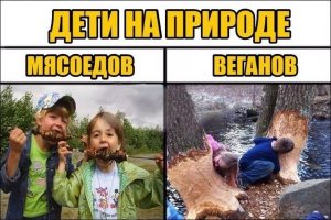 1497735616147931403.thumb.jpg.016cd49b1e8b4329af4cf28bc9089e7c.jpg