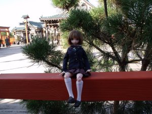DSCF3362.thumb.JPG.a1418fb2793f8e389d651017bf5d69bd.JPG