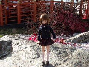 DSCF3378.thumb.JPG.67fafbe909db88d26853d315857e5a7a.JPG
