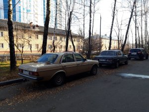 20211101_140451.thumb.jpg.79a0c84103c3d17b9fc657ec34ca9e38.jpg