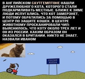 IgF6plLrcps.thumb.jpg.91df8e9bc30b91c1212e7e32ef072acf.jpg