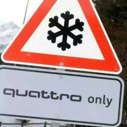 1772489803_Quattroonly4.thumb.jpg.ef36e1e86603e595dd463d5bb4a6e0f4.jpg