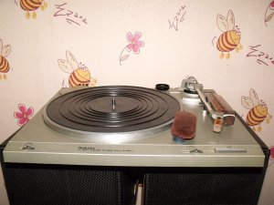 DSCF3135.thumb.JPG.37adb61da357008f2a5d2b5581ddcc59.JPG