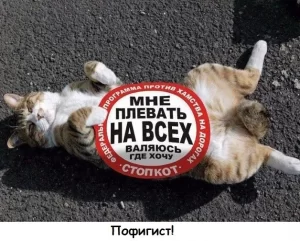 H4f--IgI6vM.thumb.jpg.dd55699b7870b4f3f29419660e19a4f9.jpg