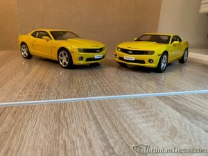 IMG_1025.JPG