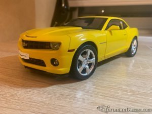 IMG_8336.JPG