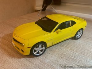 IMG_8337.JPG