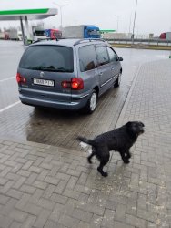 IMG_20220128_170312.jpg
