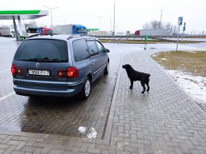 IMG_20220128_170318.thumb.jpg.7ffe3db74edc43876a5ee49d6950efae.jpg