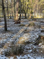 IMG_20220129_115931.jpg