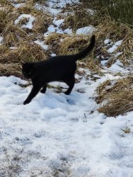 IMG_20220129_122440.thumb.jpg.819f3d90846f055f6edf8be9645059d9.jpg