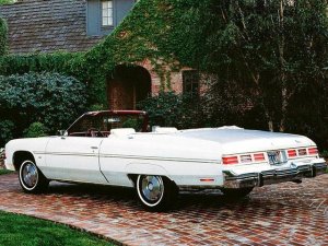 1727229334_1975ChevroletCapriceClassicConvertible002.thumb.jpg.853ce96038faa2e565238e722fae59cc.jpg