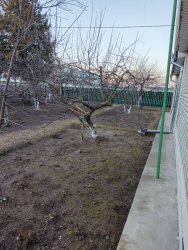 IMG_20220319_191527.thumb.jpg.36f0fdb34d1a22b0e61cf35eb7ecd614.jpg