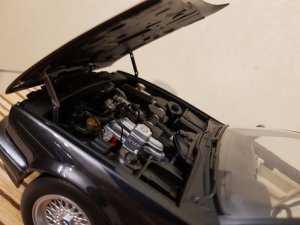 20190327_224809.jpg