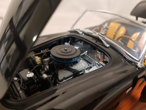 20201008_213247.jpg