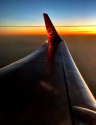 IMG_20220413_233031.thumb.jpg.8b44851c3edb723b76c894810c12daa2.jpg