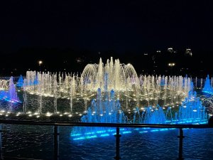 1927202222_IMG_2354.jpg.thumb.jpg.46087079586e7ce03aa184fdfc8d4f92.jpg