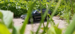 20220605_121952.jpg