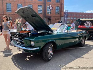 IMG_0015.JPG