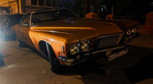 IMG_20220512_161123.thumb.jpg.b9bc70f4a0e9d28c6ddb2301864c2542.jpg
