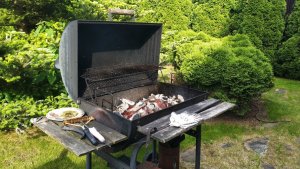 IMG_20220618_171210.thumb.jpg.9958cc214ad1bb7115e20e5ff32f7aeb.jpg