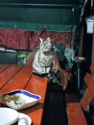 IMG_20220618_233018.thumb.jpg.324ac3d277c55591f90d1377edb8b8cb.jpg