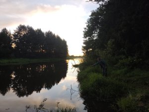IMG_20220729_210652.thumb.jpg.b5336f5ba6444aa1ae9ae08942d8dd8c.jpg
