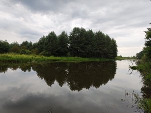 IMG_20220731_085100.thumb.jpg.f95083d8b16553861fc653ab237791b6.jpg