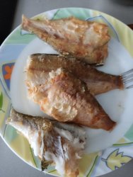 IMG_20220731_170019.thumb.jpg.f1a0fc5250666c4e411c8cc9c76d03ff.jpg
