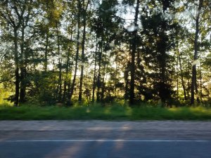IMG_20220805_063036.thumb.jpg.3654cedcb602b61de6598a3c011c3e8b.jpg