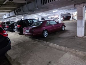 IMG_20220807_124514.thumb.jpg.f614dbfc2c21bd9f87e164aecd90e61c.jpg