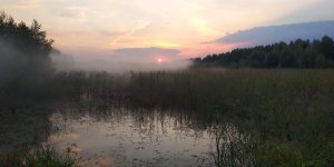 IMG_20220826_191747.thumb.jpg.9e482dcfbdbfe702d9ab34447d9e6ef4.jpg