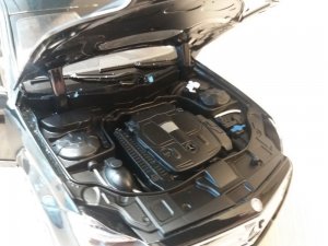 20171205_104559.jpg