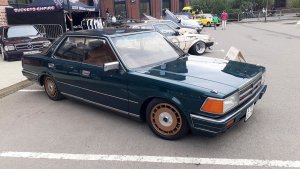 20220918_115546.thumb.jpg.d3ee1450e7ca1bfb67a100b9f620bbe6.jpg