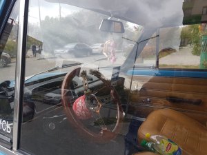 20220921_160655.thumb.jpg.126337a746c1e5eed9ccfe5e92106d94.jpg