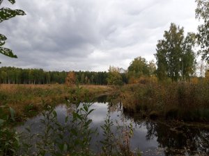 20220926_144247.thumb.jpg.f6570a04c2cb88cdd6353c00390a66a7.jpg