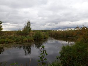 20220926_145702.thumb.jpg.bf97a9be5a1c071bc7be27898ae03194.jpg